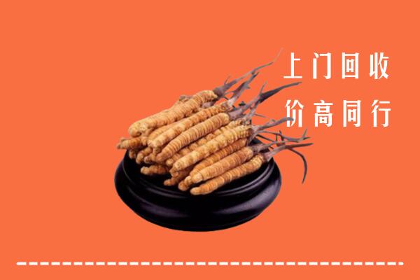 高价求购：湘阴县回收散虫草