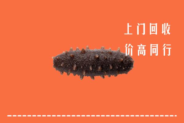 高价求购：湘阴县回收海参