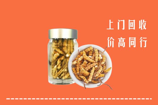 湘阴县回收冬虫夏草