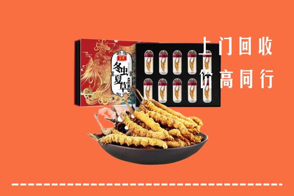 湘阴县回收虫草